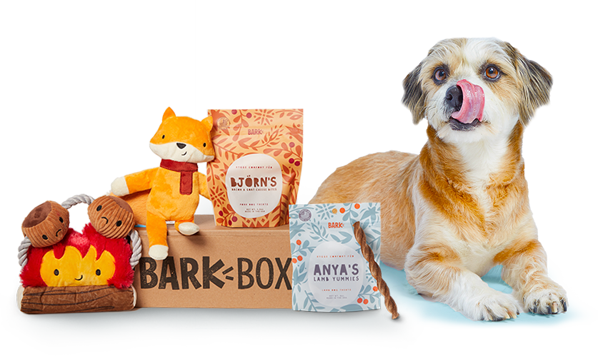 Dog with Hygge BarkBox and Toys
